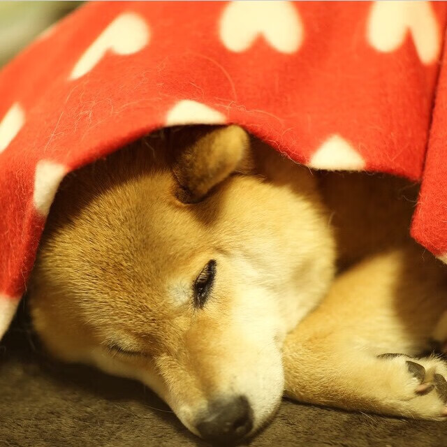 开云网页版-“西甲激战不断,强队争夺欧冠席位”,西甲晋级欧冠规则  第1张 开云网页版-“西甲激战不断,强队争夺欧冠席位”,西甲晋级欧冠规则  第1张