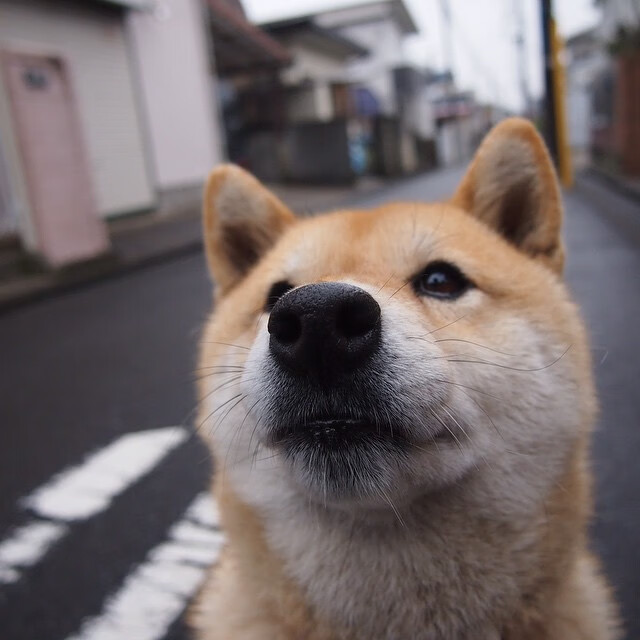 开云体育登陆入口-“英超关键战役：球队奋战只为三分”，“英超”  第1张