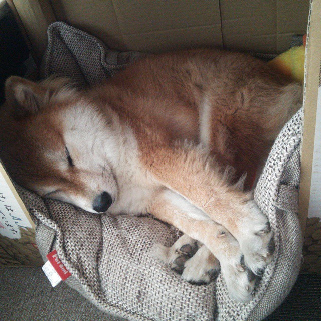 开云全站下载-“足球+科技”融合创新，推动行业不断跨越发展，融合足球队  第3张