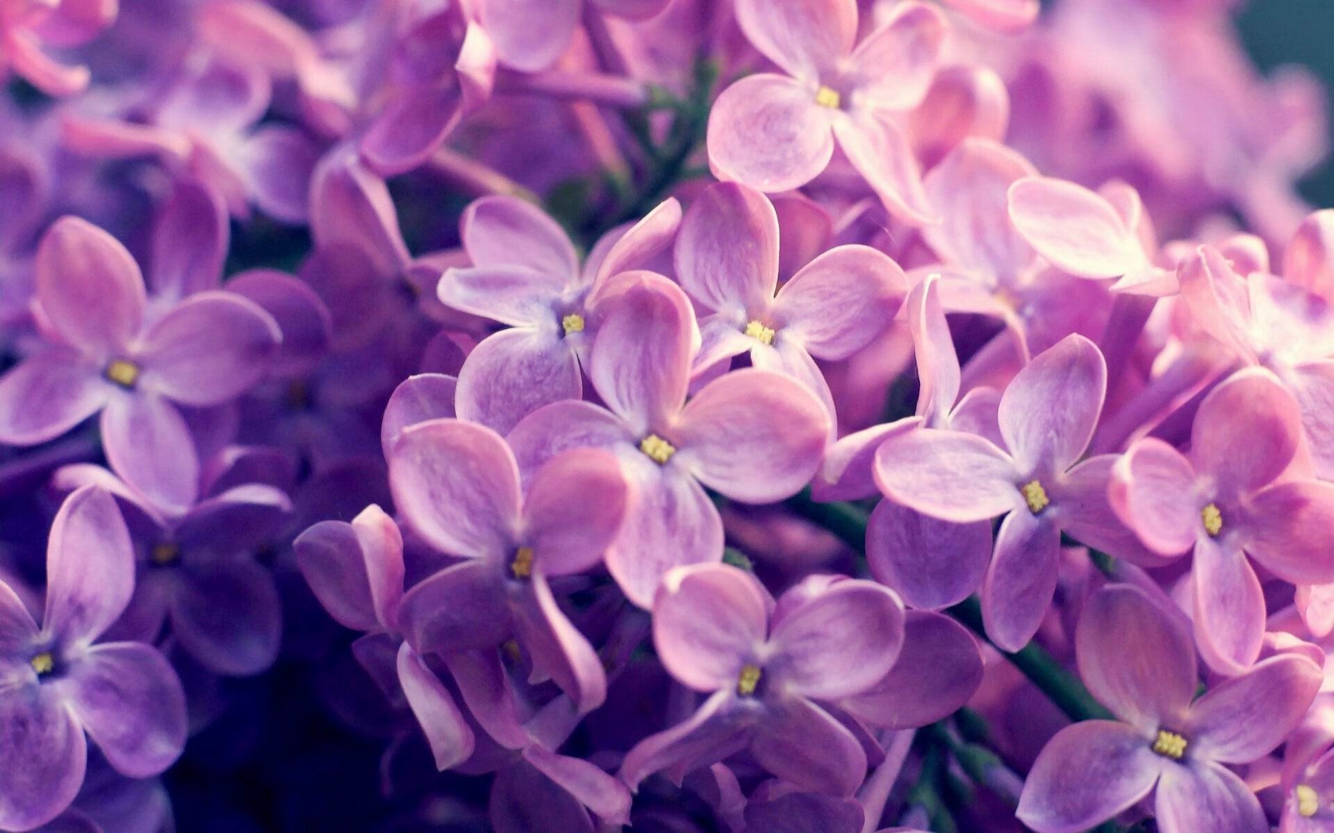 kaiyun官方入口登录-中国足球青训教练培训体系探索形成，专业度不断提升，做足球青训教练的行业怎么样