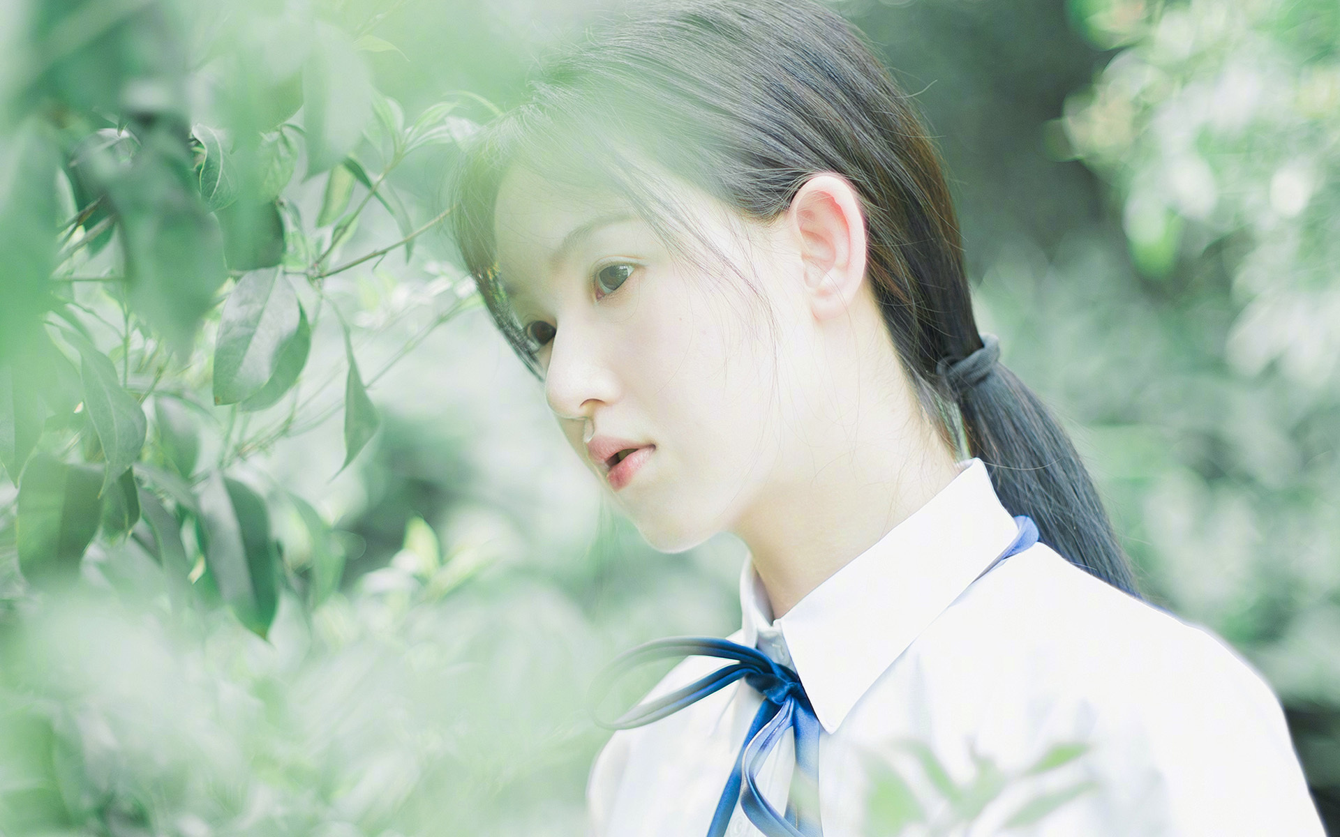 开云体育全站-全国青少年篮球“成长树”夏令营在青海盛大开营，青少年篮球培训训练基地