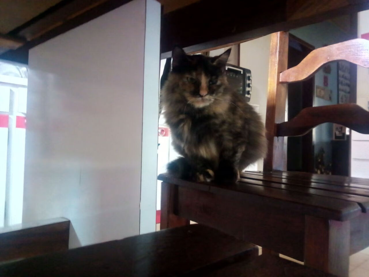 开云彩票-全明星投票：超级球星“激战”中你最支持谁？