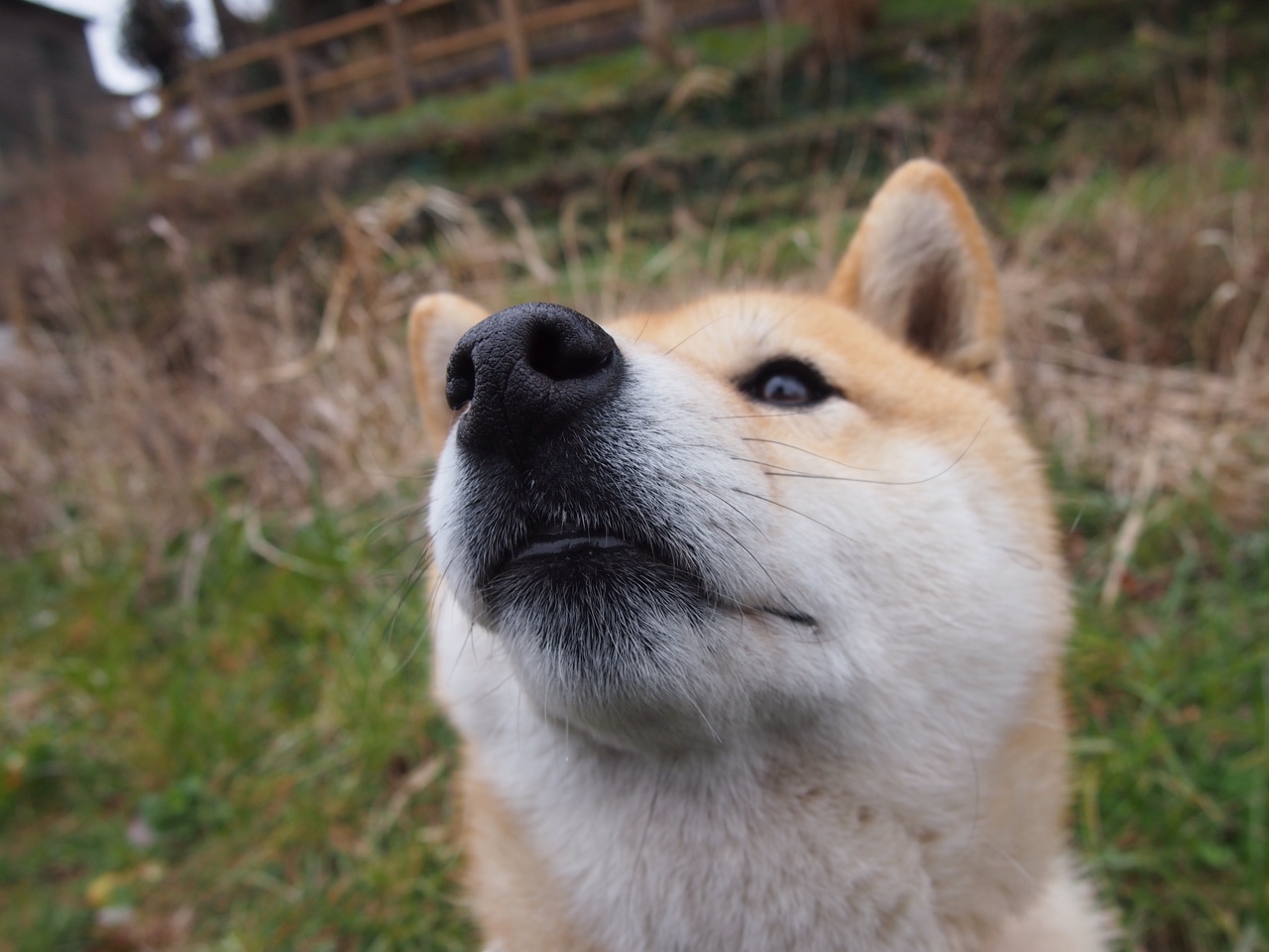 开云平台-勇士球员联合发布公益单曲，呼吁关注青少年心理健康，勇士队官方