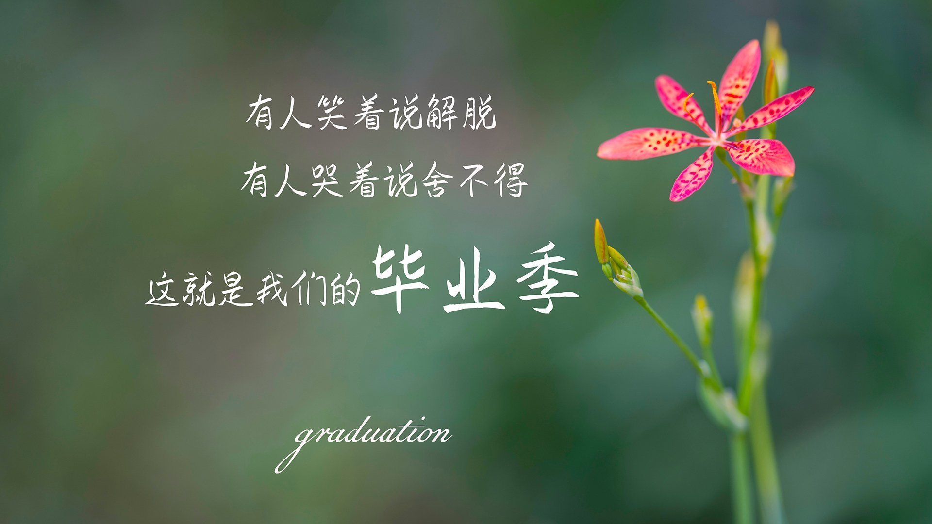 开云体育-国足集训营开展专项心理训练课程，足球心理训练