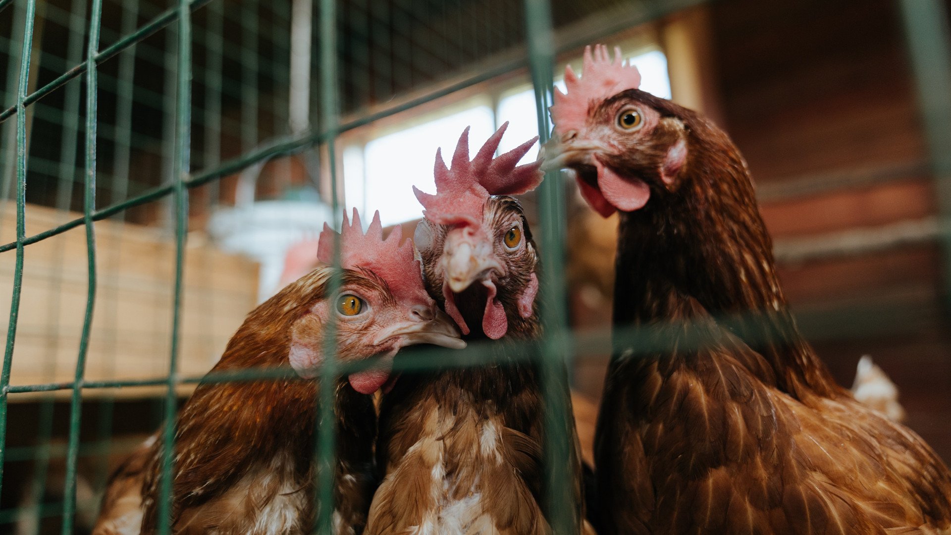 开云体育-国足集训营开展专项心理训练课程，足球心理训练