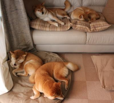 kaiyun中国官方网站-意甲豪门激烈较量，精彩瞬间一触即发，意甲八大豪门